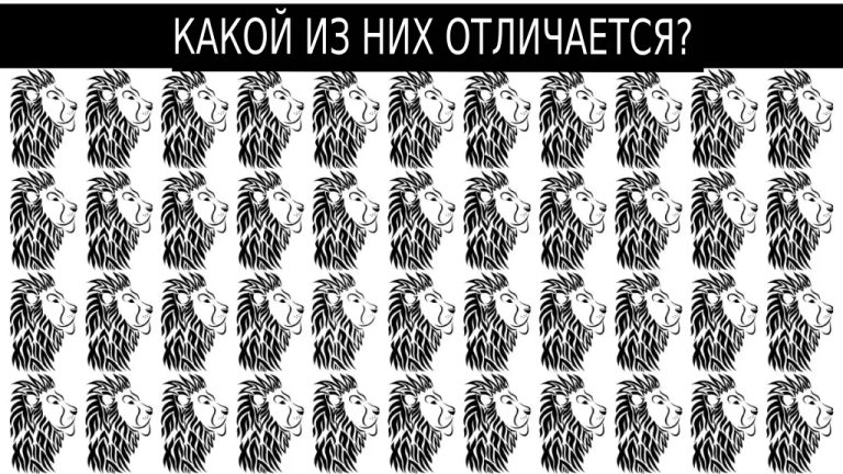 Тест на зоркость, который пройдет не каждый: найди «другого» льва за 30 секунд!