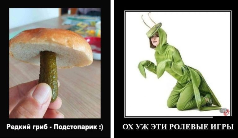 Новые демотиваторы и ролевые богомолы