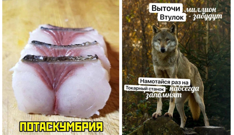 Прикольные картинки с надписями и скумбрия
