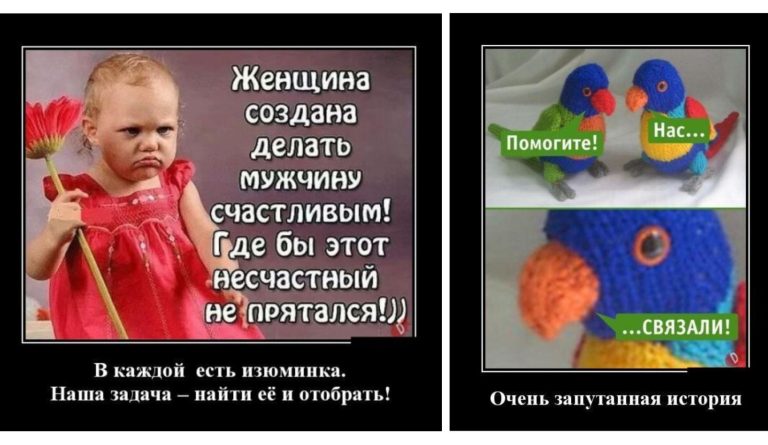 Новые демотиваторы и запутанная история