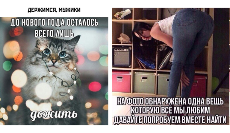 Прикольные картинки с надписями и месяц до Нового года