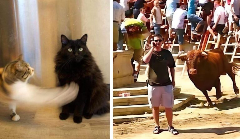 Фотографии снятые в самый нужный момент и не секундой позже