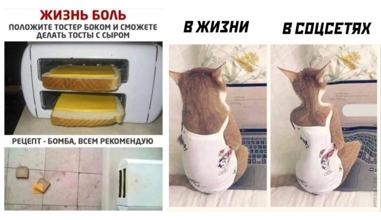 Прикольные картинки с надписями и тосты с сыром