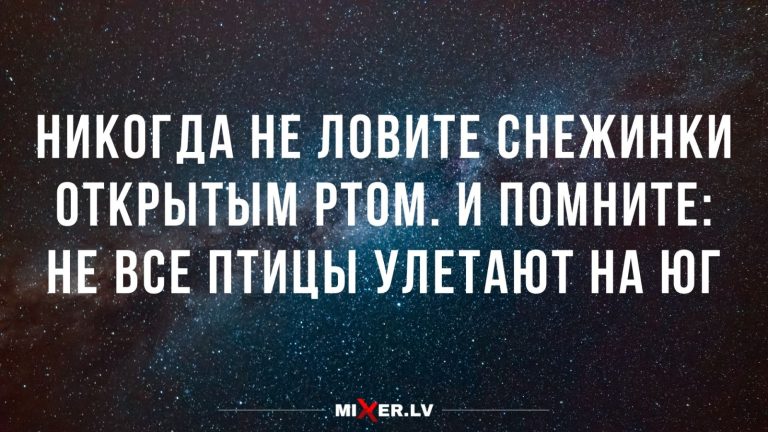 Юмор за день и снежинки