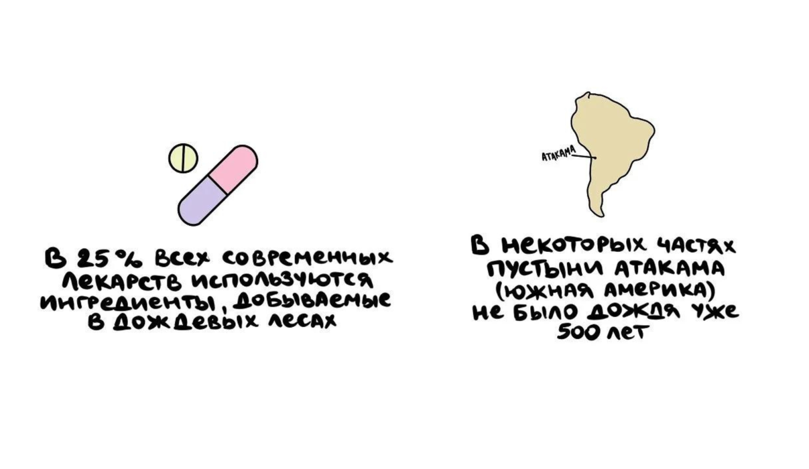 Удивительные факты, которые позволят беснуть умом в компании