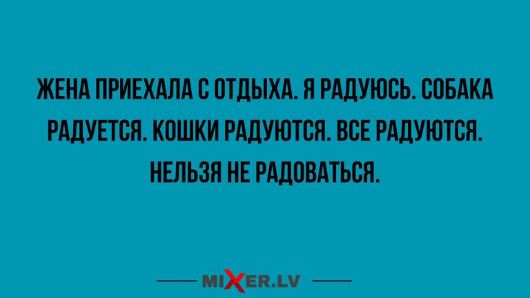 Юмор за день и кошки радуются