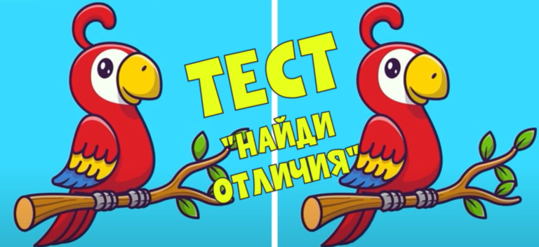 ТЕСТ «Сличаем попугаев»: найди 3 отличия между птичками за 8 секунд!