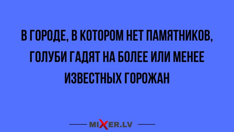 Юмор за день и голуби
