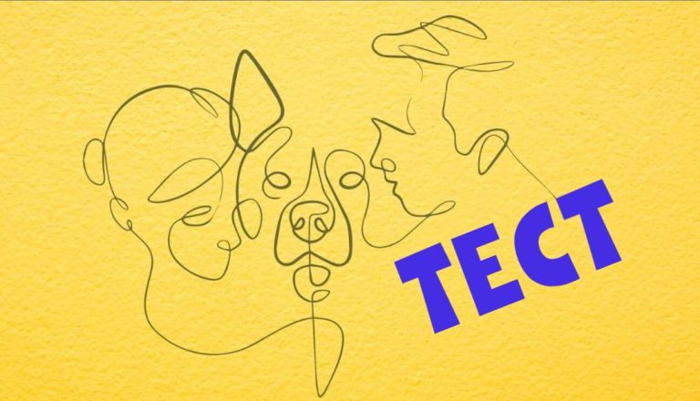 Личностный тест: Насколько вы любите других? Это изображение способно ответить на этот вопрос