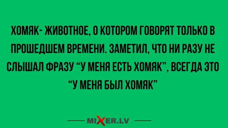 Юмор за день и хомяк