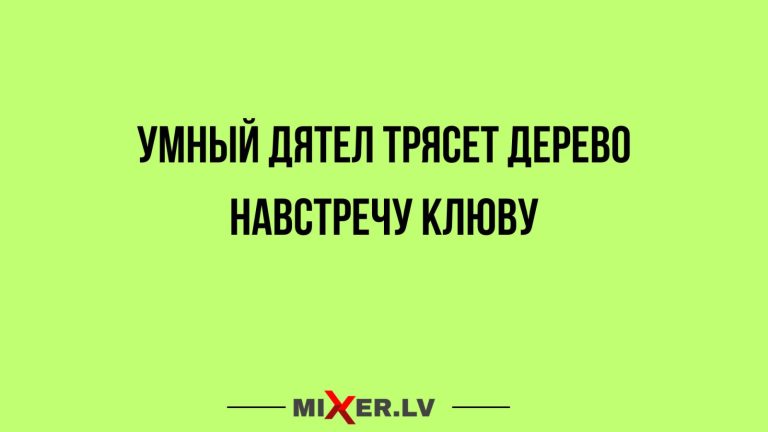 Юмор за день и умный дятел