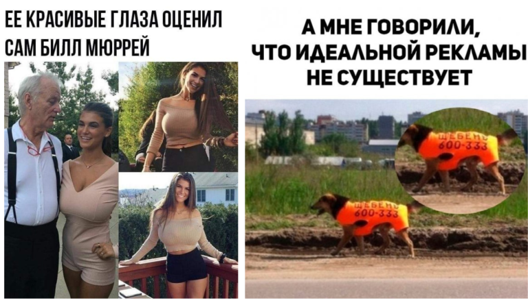 Прикольные картинки с надписями и реклама на собак