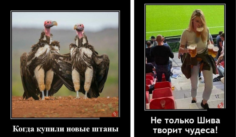 Новые демотиваторы и покупка штанов