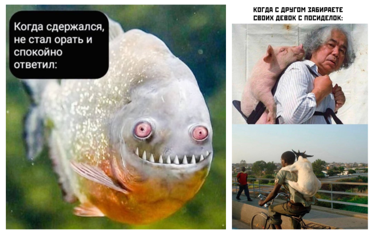 Прикольные картинки с надписями и спокойный ответ