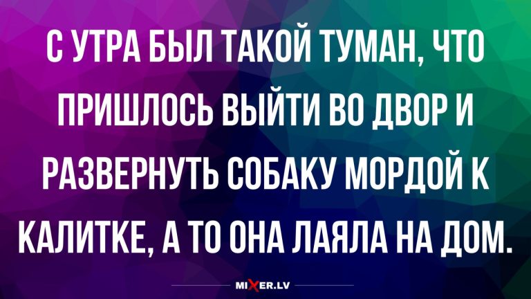 Анекдоты за день и утренний туман