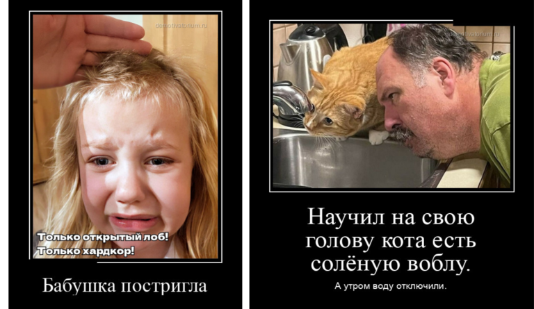 Новые демотиваторы и стрижка от бабушки