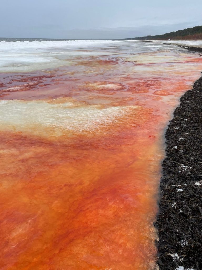 В Юрмале покраснела вода: что случилось