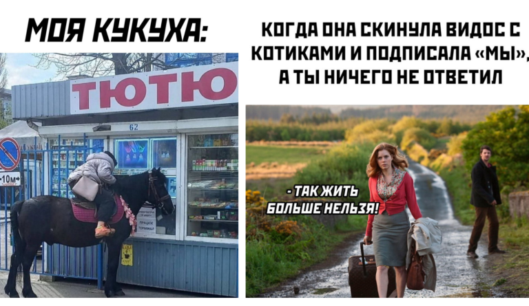 Прикольные картинки с надписями и видео с котиками