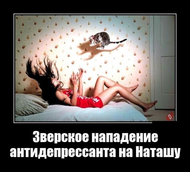 Новые демотиваторы и зверское нападение