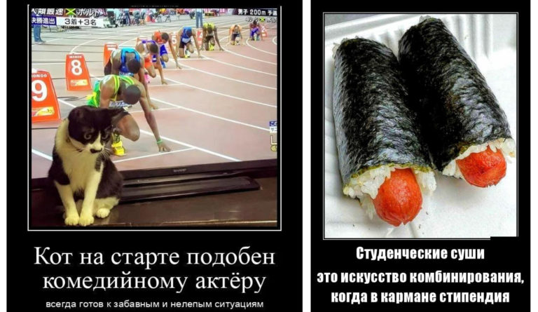 Новые демотиваторы и студенческие суши