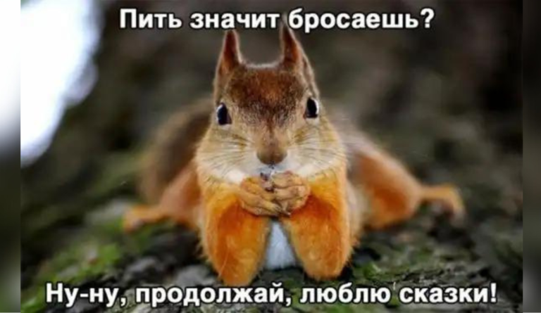 Пост алкогольного юмора и сказки для белочки
