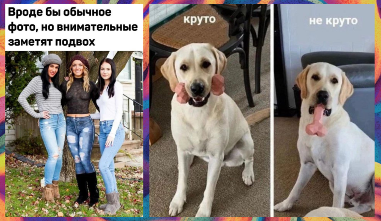 Прикольные картинки с надписями и обычное фото
