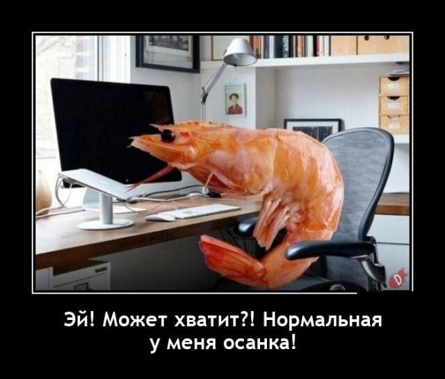 Новые демотиваторы и нормальная осанка