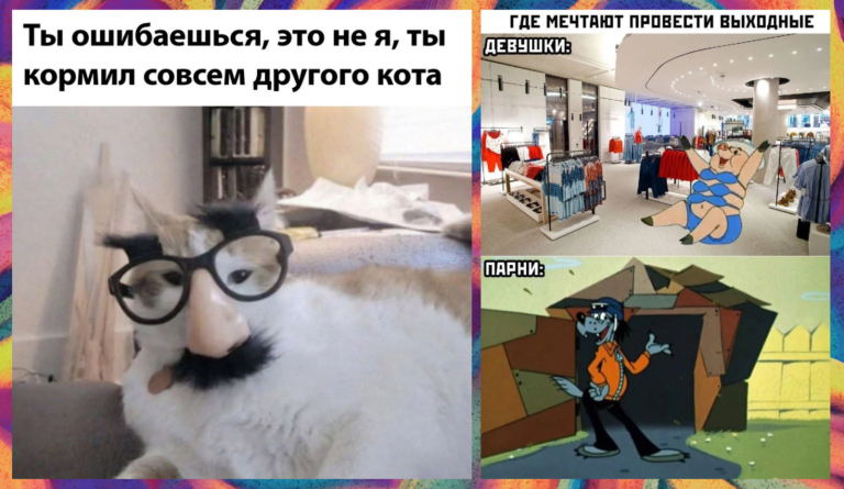 Прикольные картинки с надписями и совсем другой кот