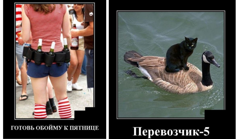 Новые демотиваторы и готовность к выходным