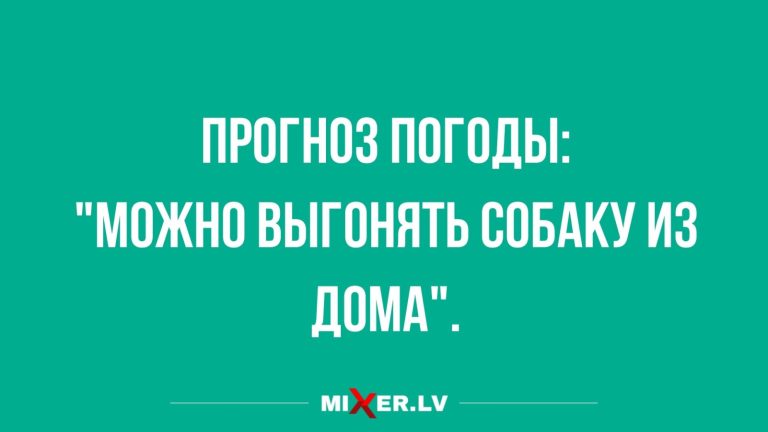 Юмор за день и выгнать собаку