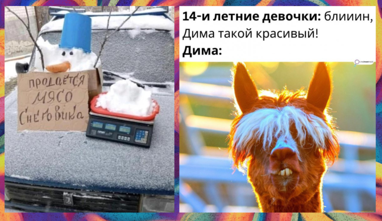 Прикольные картинки с надписями и мясо снеговика