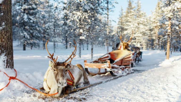 В Финляндии зафиксировали -44,3°С