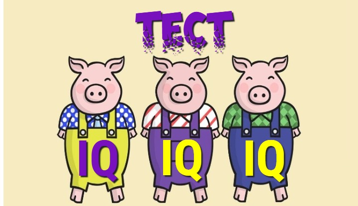Моментальный тест на IQ «Три поросёнка»: дело в шляпе