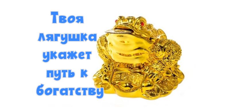 Личностный тест: выбери лягушку и узнай, какой твой путь к богатству