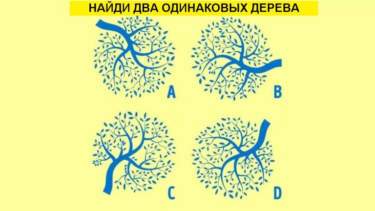 IQ-головоломка: найди два одинаковых дерева за 5 секунд!