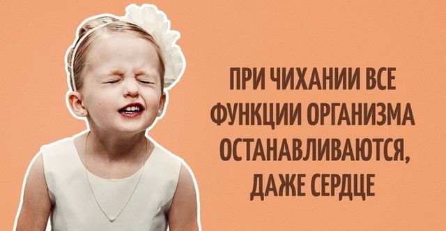 Интересные факты из разных областей и чихание
