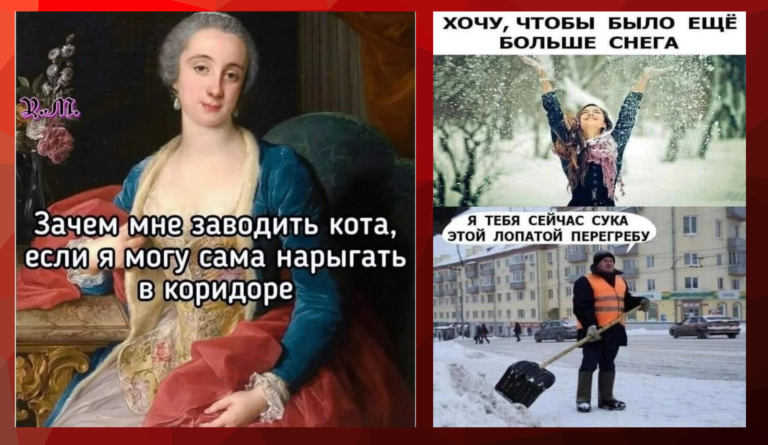Прикольные картинки с надписями и зачем заводить кота