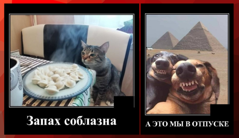 Новые демотиваторы и запах соблазна