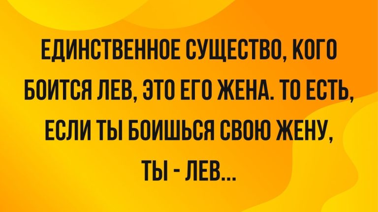 Юмор за день и жена льва