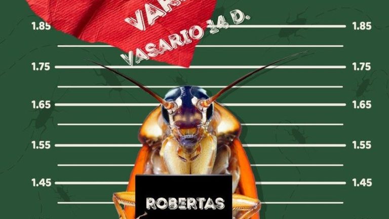  Zoopark Вильнюса в день святого Валентина предлагает назвать таракана именем бывшего и скормить его сурикатам