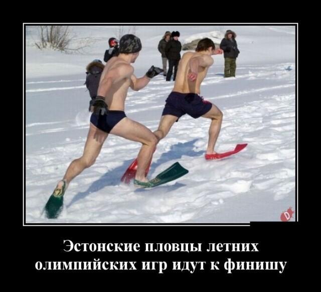 Новые демотиваторы и эстонские пловцы