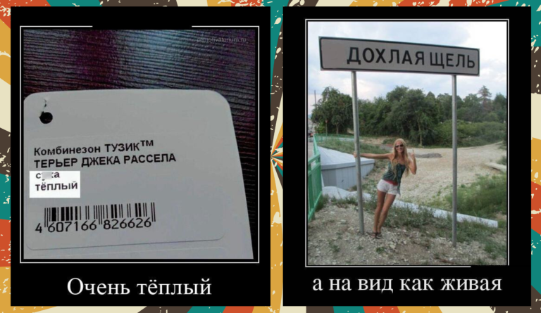 Новые демотиваторы и дохлая щель
