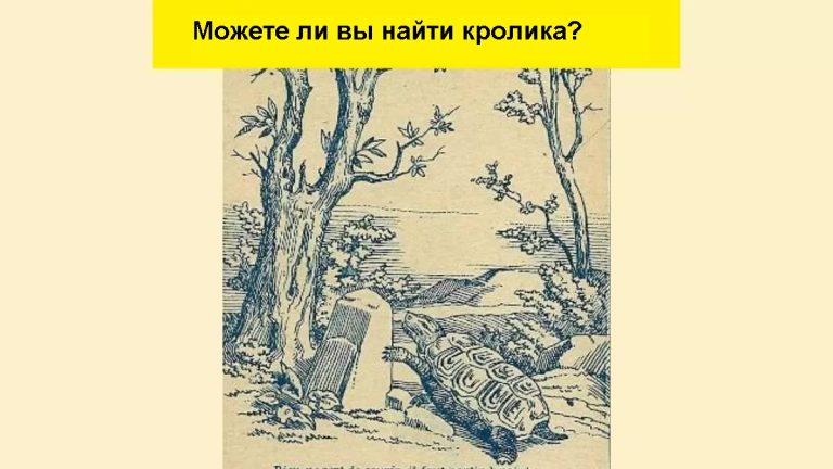 Старинная загадка: где прячется кролик? Найдите его за 6 секунд!