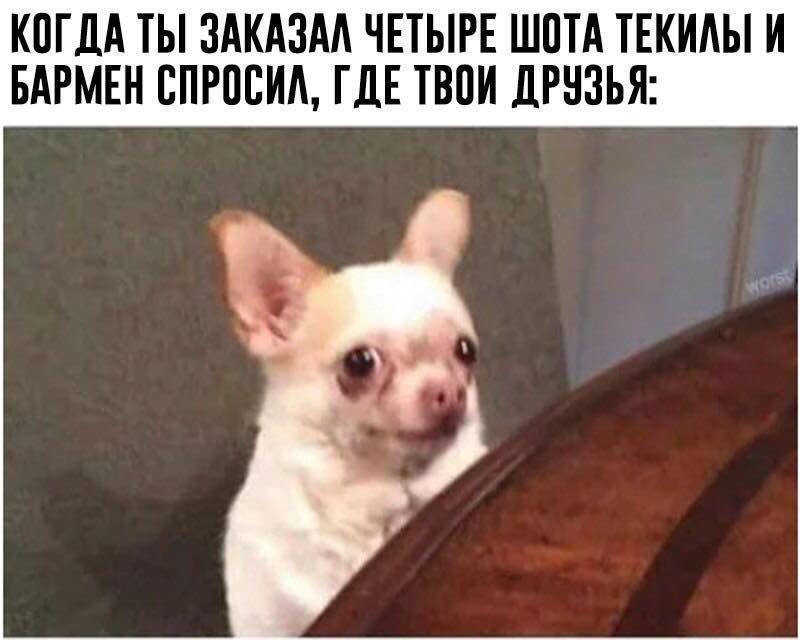 Слишком высокие стандарты и еще 9 причин, по которым вы остаетесь в одиночестве