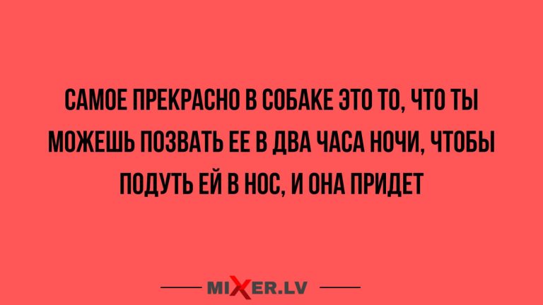Юмор за день и подуть в нос