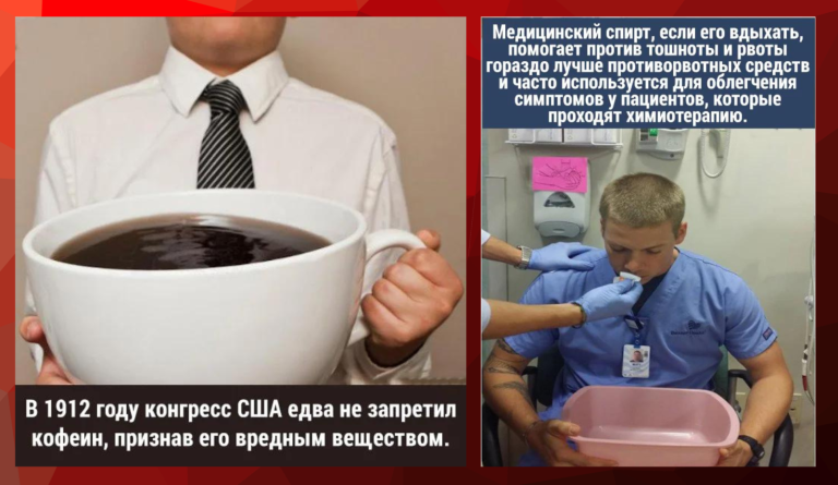 25 интересных фактов о нашем мире и запрет кофеина
