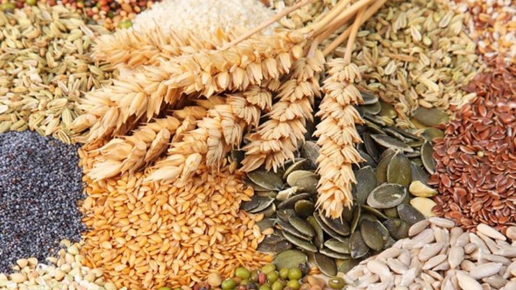 Запретные плоды: какие сельхозпродукты нельзя будет ввозить из России и Беларуси