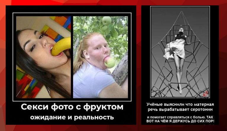Новые демотиваторы и фото с фруктами