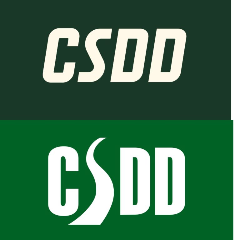 За 17 760 евро: у CSDD теперь тоже новый логотип