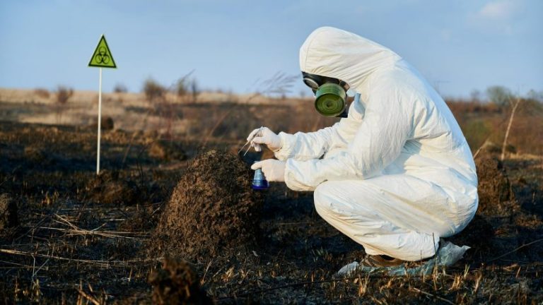 Евросоюз вводит уголовную ответственность за серьезное разрушение экосистем